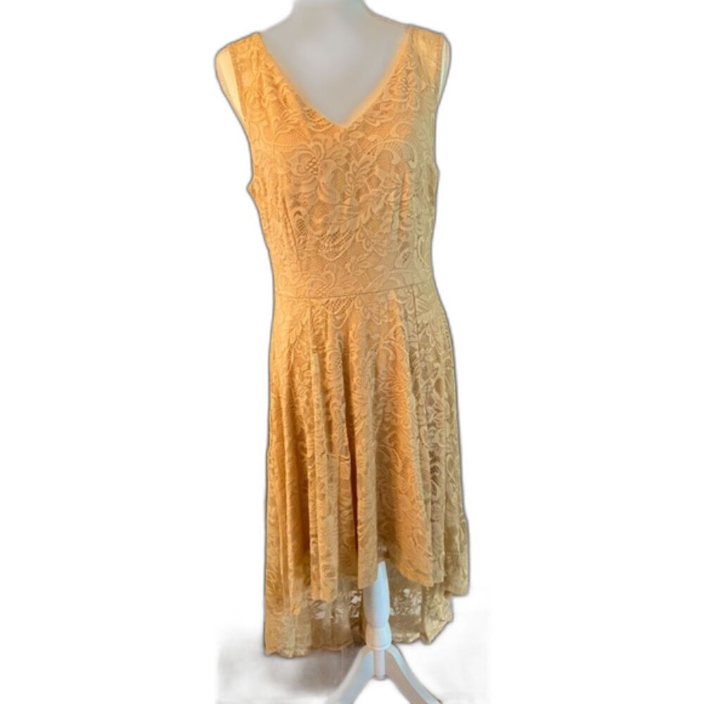 Berry Love High Low Formal Dress XL Chiffon Champagne (Formal or Wedding) - Picture 8 of 13